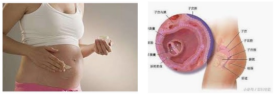 威而鋼助孕